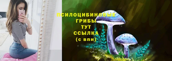 2c-b Алзамай